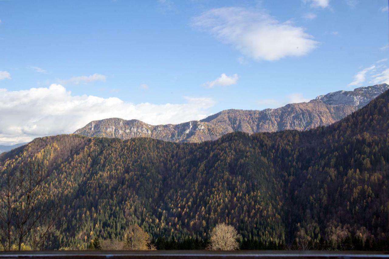 Villa Kmetija Matk Solčava Exterior foto